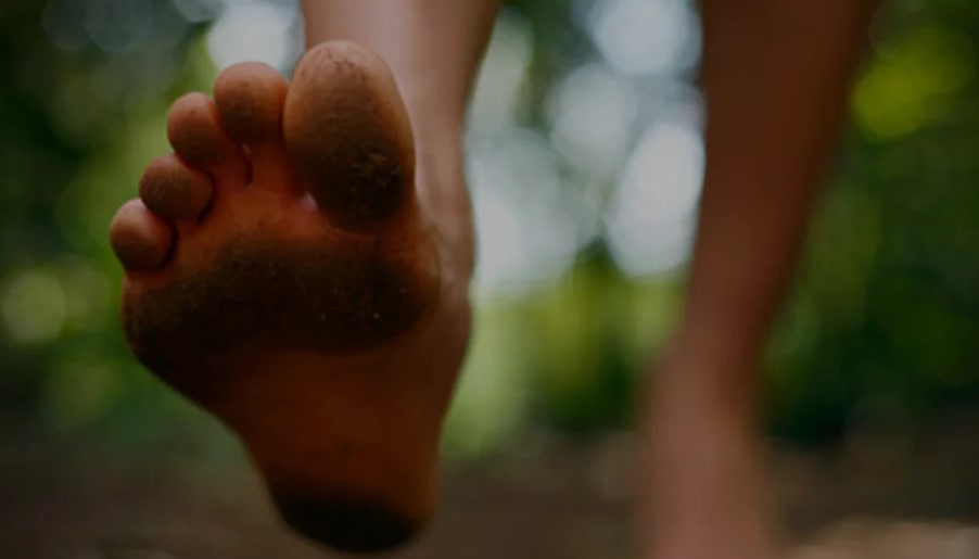 A close-up of a bare foot, walking in nature