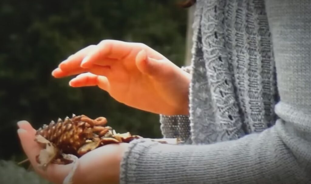 A close-up of two hands shown holding a pine cone