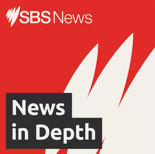 SBS News in Depth