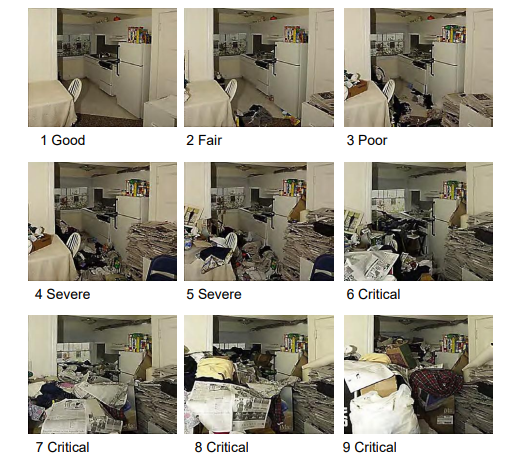 A screenshot of the clutter image rating scale