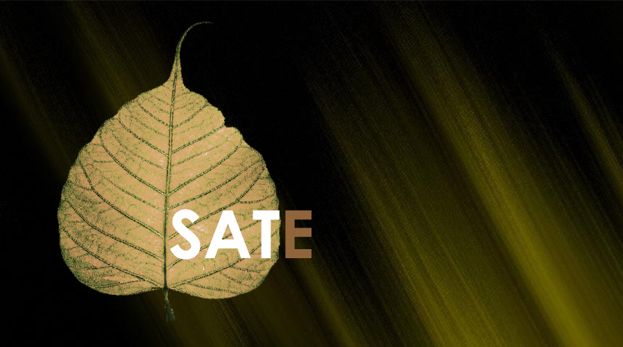 International Journal of Science, Architecture, Technology and Environment